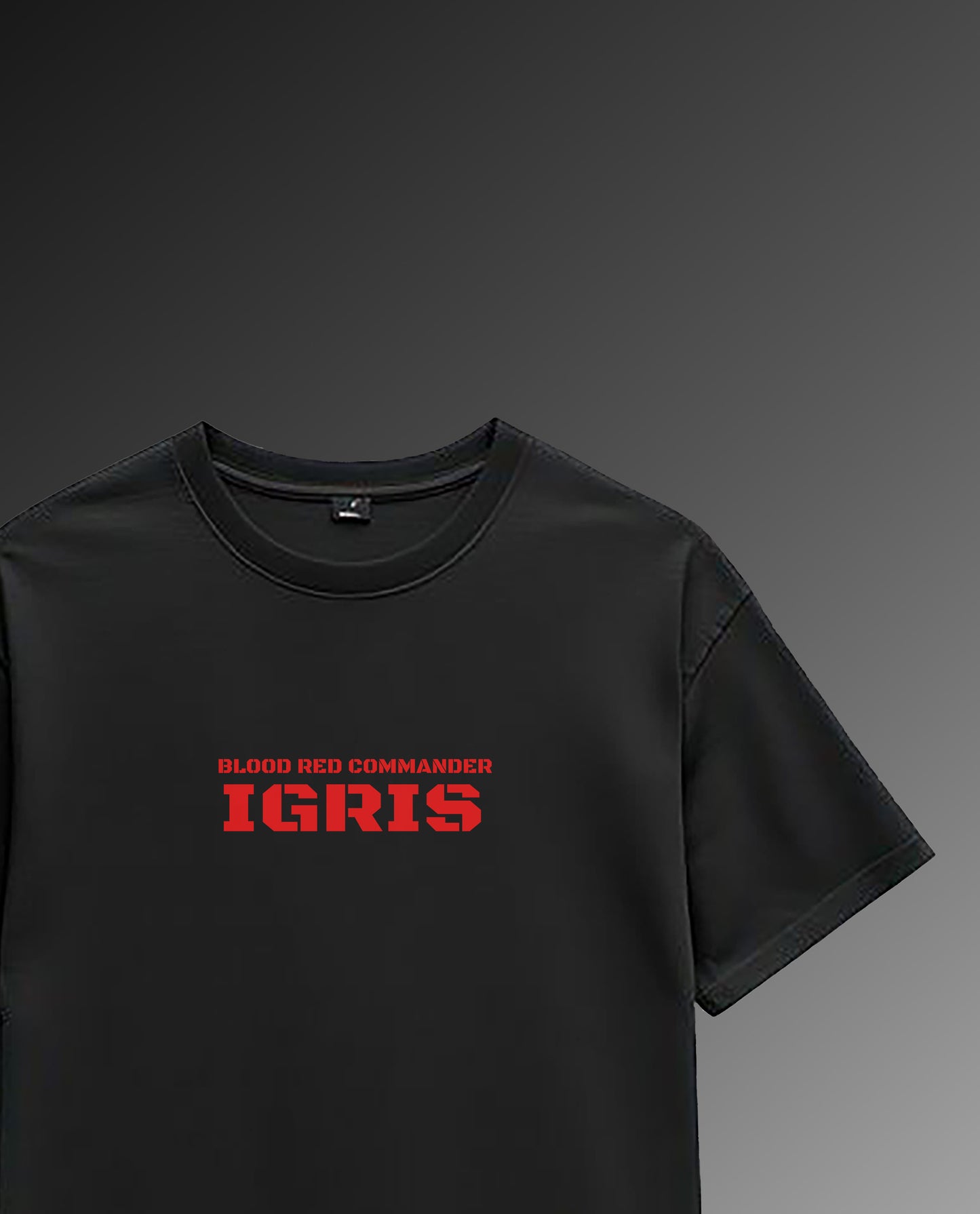 Shadow Knight: Igris Oversized Tshirt